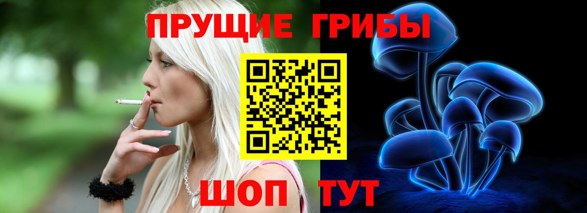Галлюциногенные грибы прущие грибы  Вход с VPN  Сосновый Бор  Галлюциногенные грибы MAGIC MUSHROOMS 
